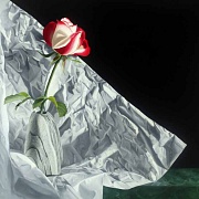 Image of Handle with Care by Jane Jones