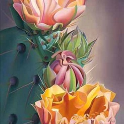 Image of The Prayer Prickly Pear Blooms by Dyana Hesson