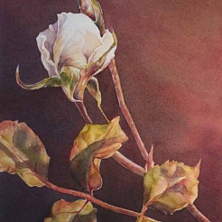 Image of Autumn Rose by Kathrine Lemke Waste