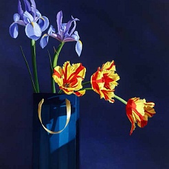 Image of Special Occasion   by Jane Jones