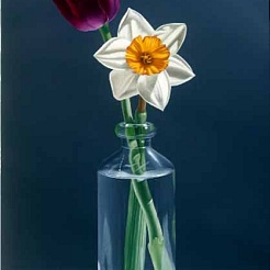 Image of Risk Takers   by Jane Jones