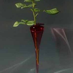 Image of Skyward by Jane Jones