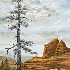 Image of Sedona Pine by Cyndy Carstens