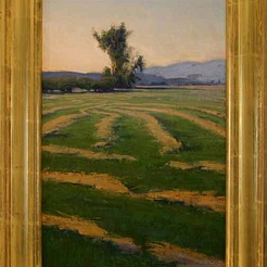 Image of Cut Hay   by Brad Aldridge