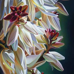 Image of Arizona Dinner Bells by Dyana Hesson