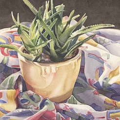 Image of Aloe in a Yellow Pot by Kathrine Lemke Waste