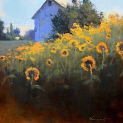 Image of Sunflowers Facing East by Romona Youngquist