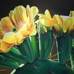 Image of Pears and Coffee - Prickly Pear Cactus Blooms by Dyana Hesson
