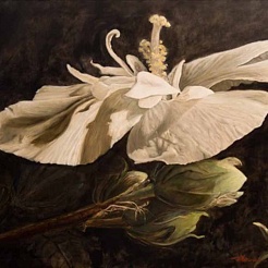 Image of Rebirth by Victoria Herrera