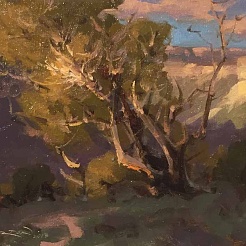 Image of Edge of the Canyon by John Burton
