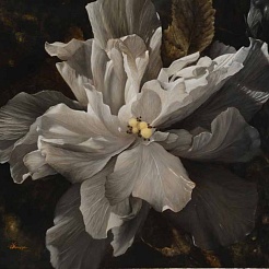 Image of Rhapsody in Gray by Victoria Herrera