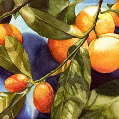 Image of Winter Fruit by Kathrine Lemke Waste