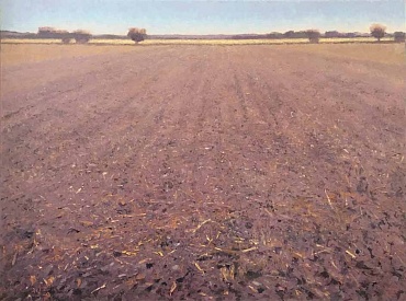 Image of Plowed Field by Gary Ernest Smith