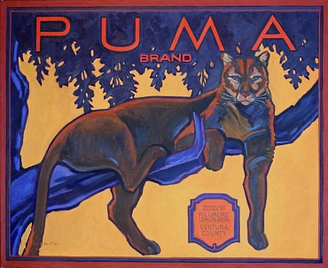 Image of Puma Brand by Dennis Ziemienski