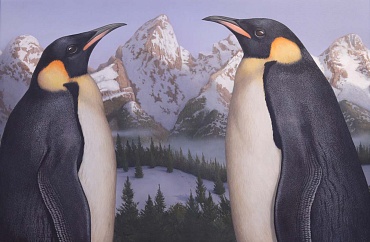 Image of Teton Penguin's by Tom Palmore