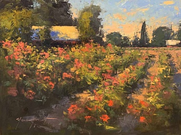 Image of Dahlia Garden by Romona Youngquist