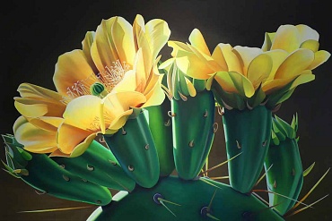 Image of Pears and Coffee - Prickly Pear Cactus Blooms by Dyana Hesson