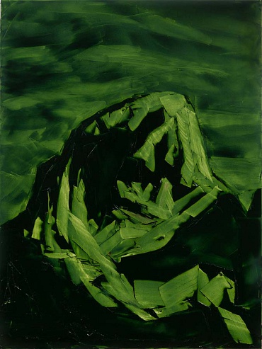 Image of Grand Teton, ROYGBIV #3, Green (sap green) by Jivan Lee